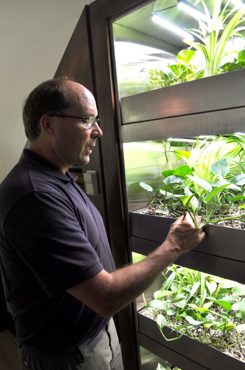 Bill Hutzel checks on the plants in his Biowall research project.