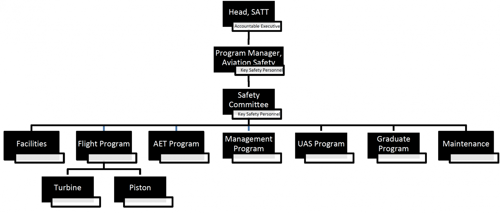 Safety Org Chart