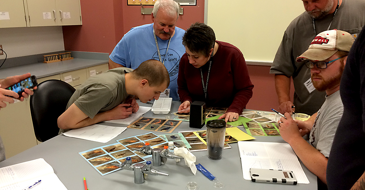 Teachers study insects as part of the TRAILS summer program.