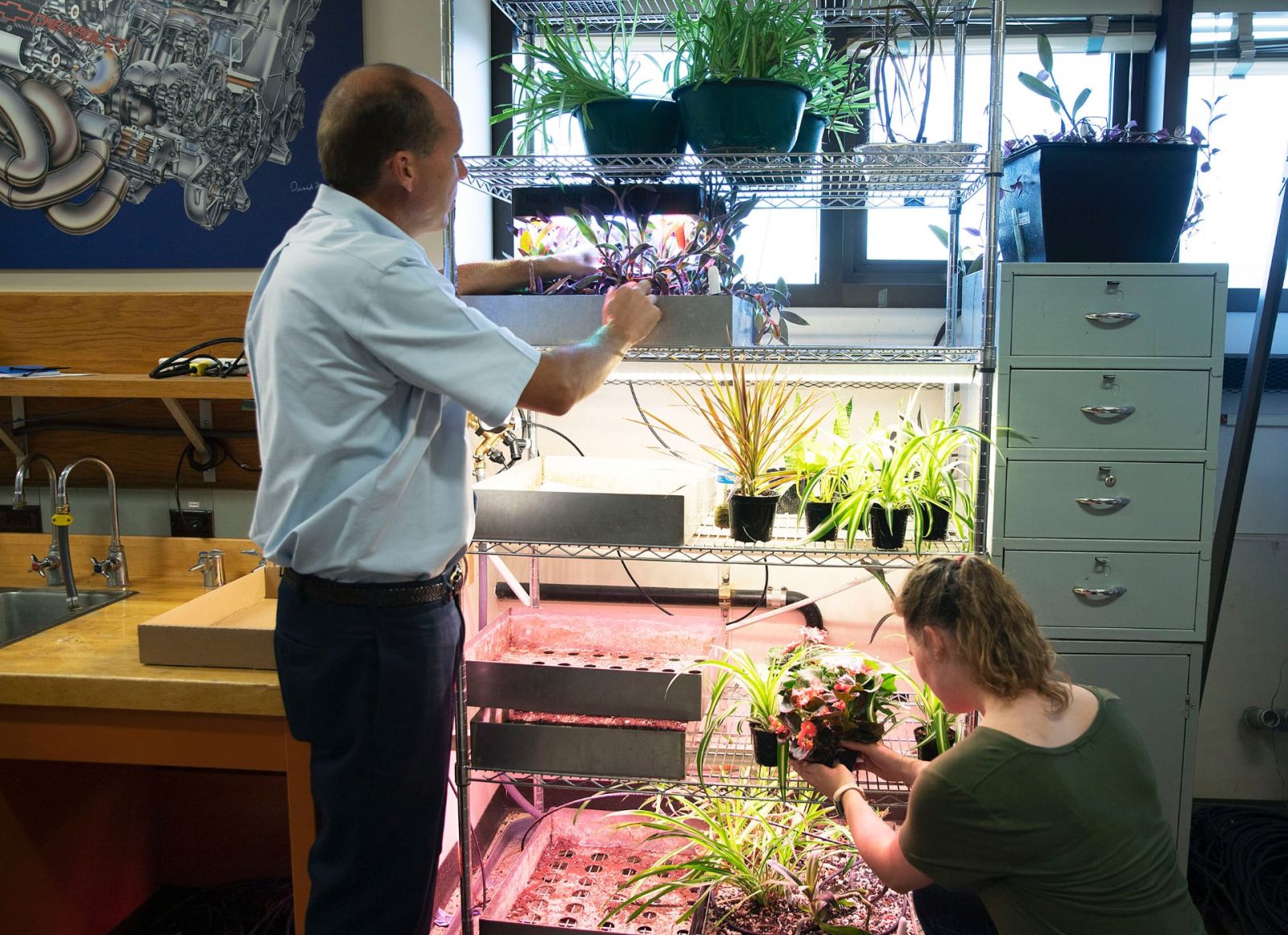 Bill Hutzel, professor of mechanical engineering technology, and Danielle LeClerc, an undergraduate student who works on the Biowall team, are inspecting the plants used for the project. (Purdue Research Foundation image/Hope Sale)