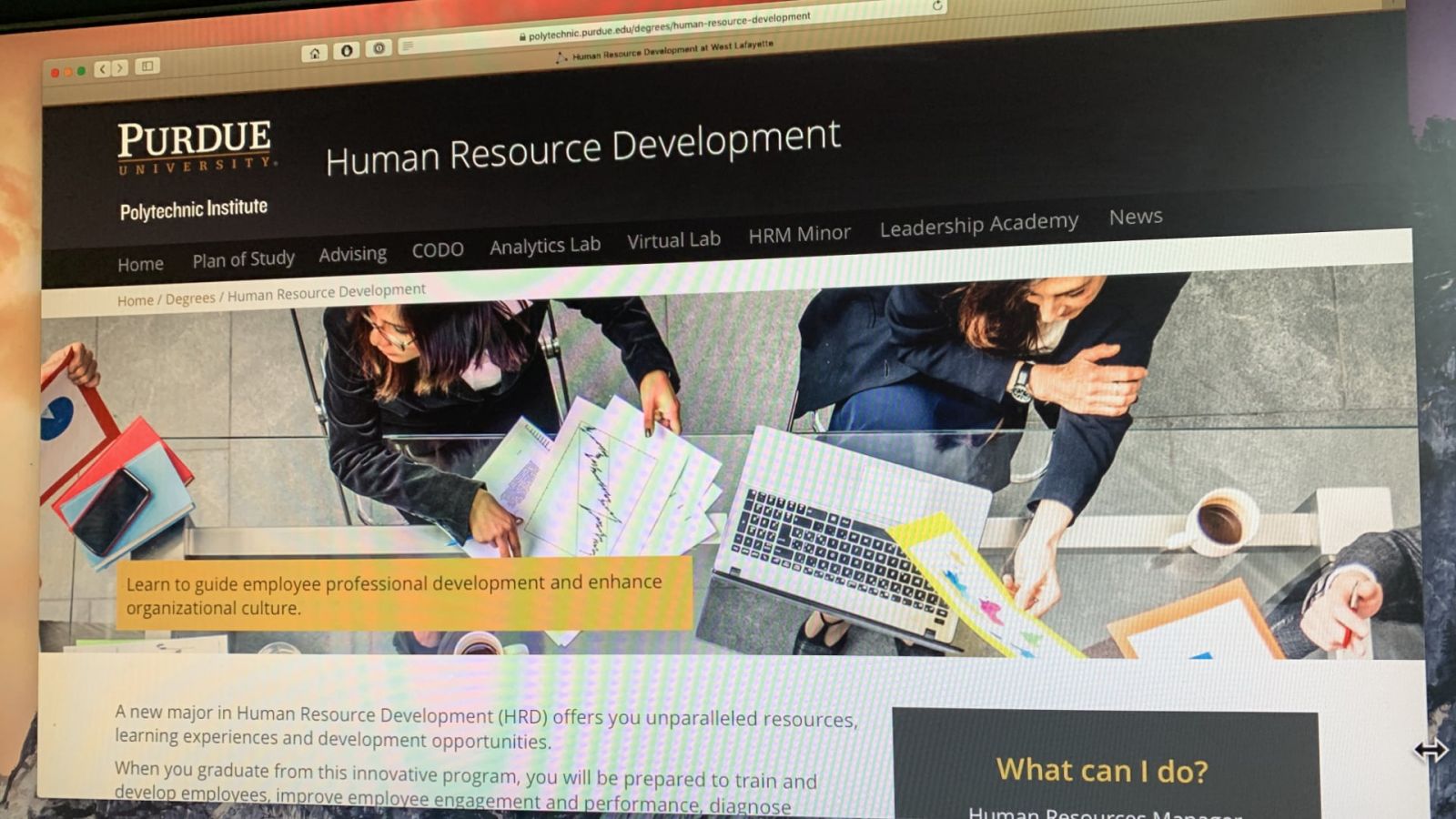 Human Resource Development major