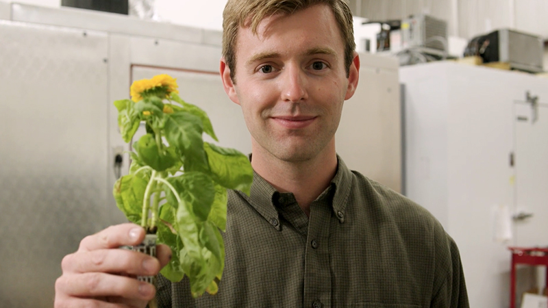 Scott Massey, founder and CEO at anu (stylized), holds a sunflower cultivated in one of the company’s seed pods. The company has received a $200,000 Indiana Manufacturing Readiness Grant to mass manufacture aeroponic seed pods. The grants are provided by the Indiana Economic Development Corp. and administered by Conexus Indiana and the Next Level Manufacturing Institute. (Photo: Indiana Economic Development Corp.)